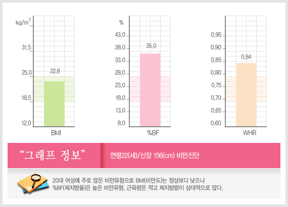 여성비만