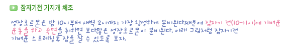 성장스크레칭