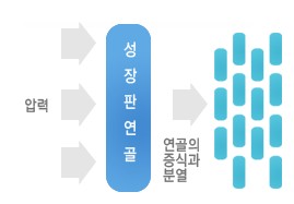 성장과운동