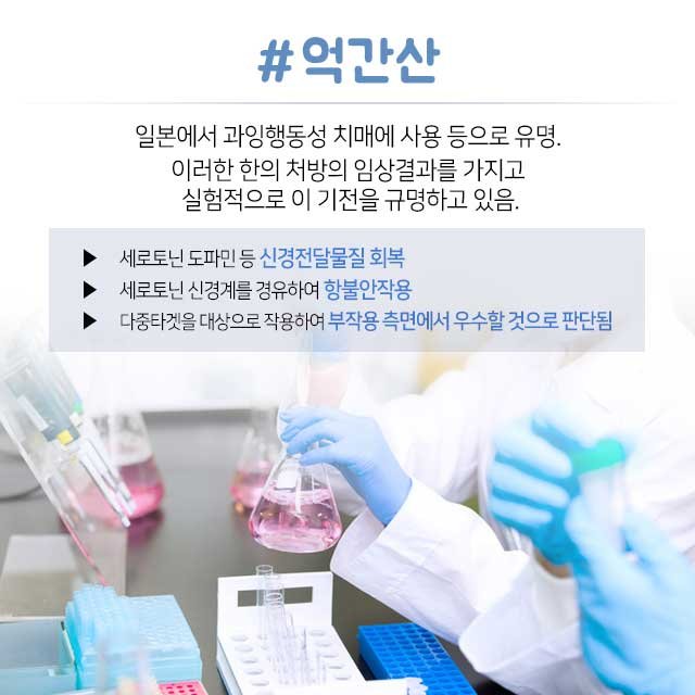 치매와 총명음 총명탕 9
