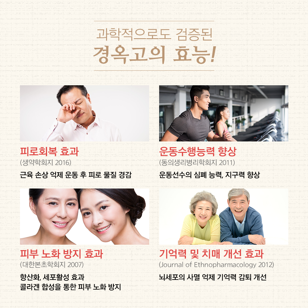 국민보약 경옥고 4