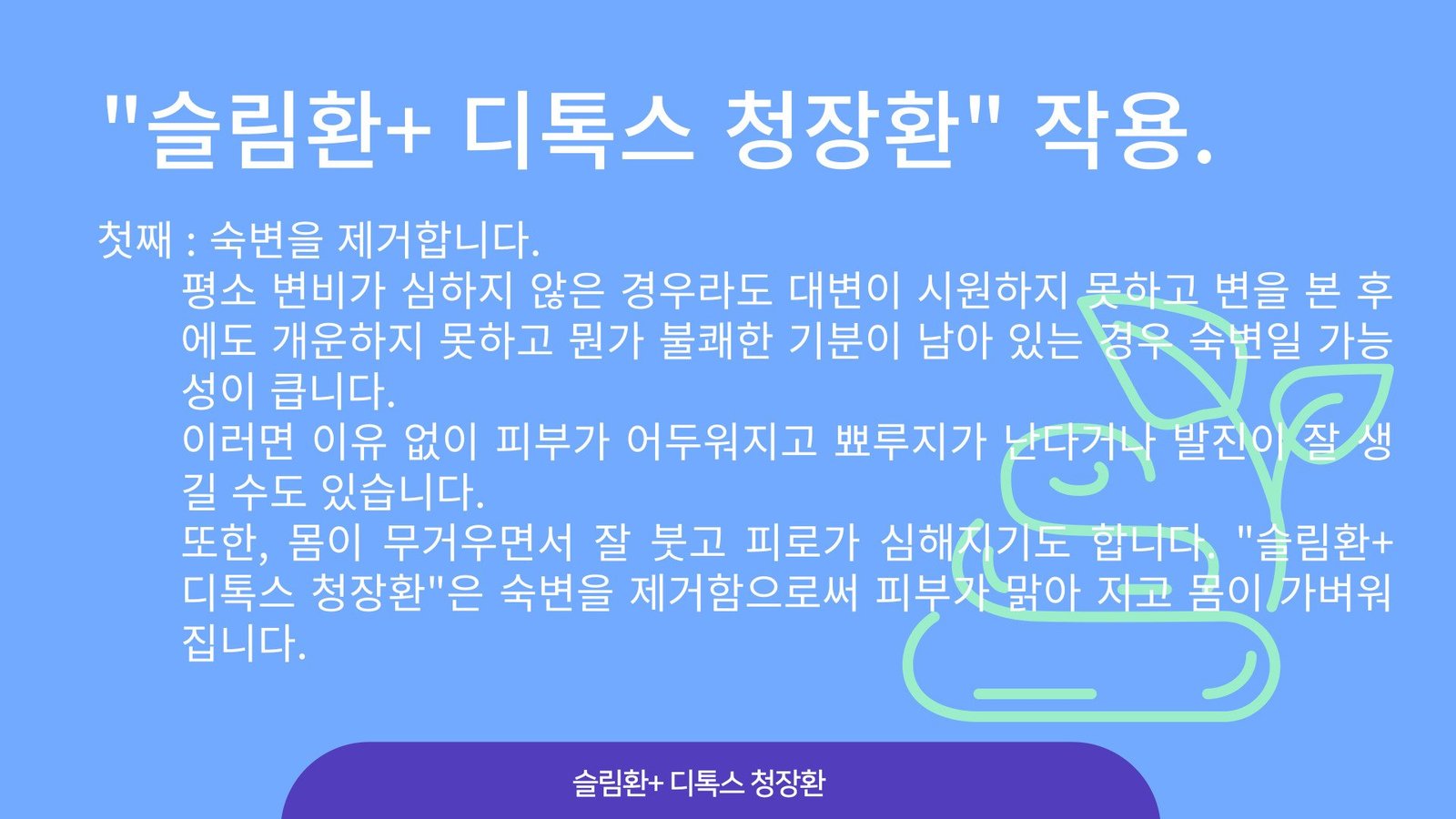 “슬림환+ 디톡스 청장환” 작용