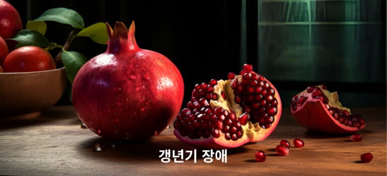 갱년기 장애-인생의 새로운 단계