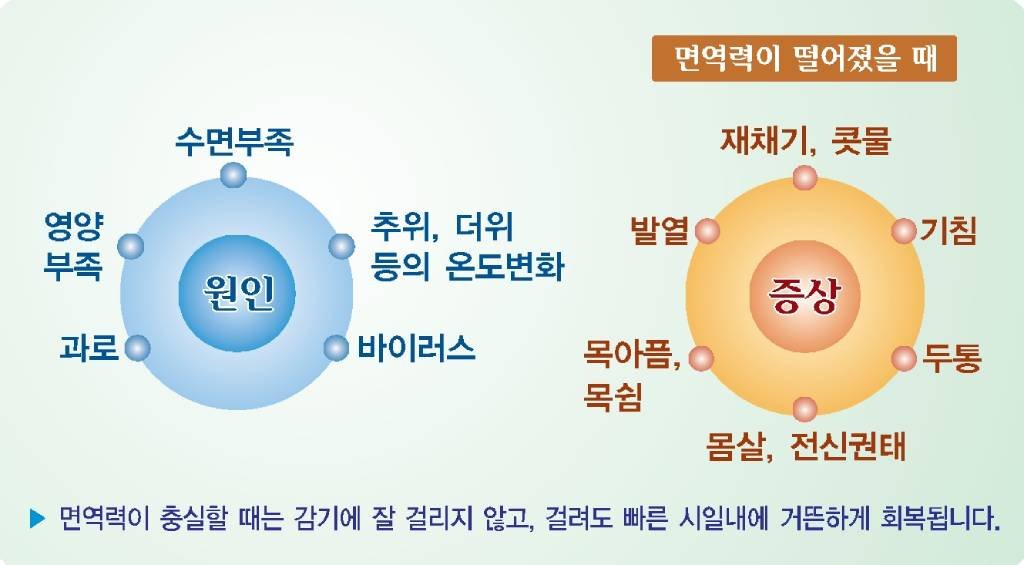 감기 독감 한약으로 치료하세요 3