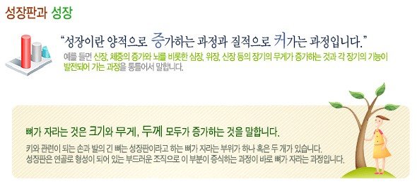 성장클리닉 성장판과 성장 2