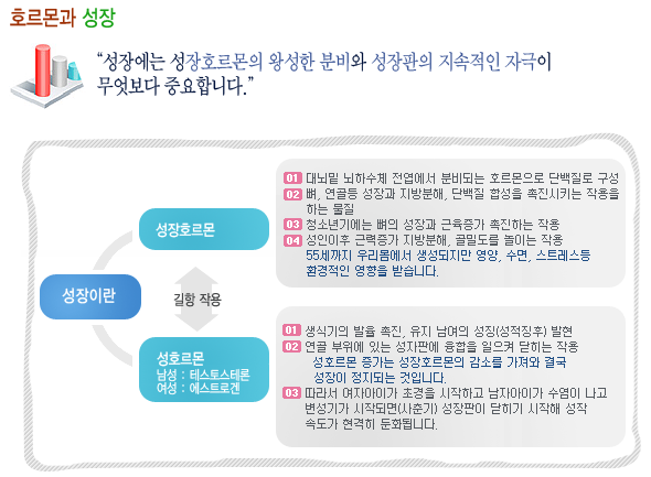 성장클리닉 성장판과 성장 7