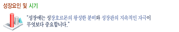 성장클리닉 성장판과 성장 19