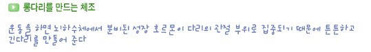 성장클리닉 키크는 운동 17