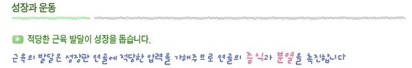 성장클리닉 키크는 운동 3