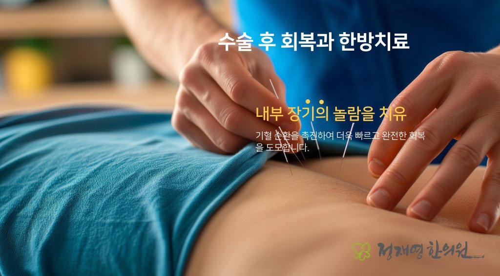 교통사고 치료 한의약이 좋습니다 4