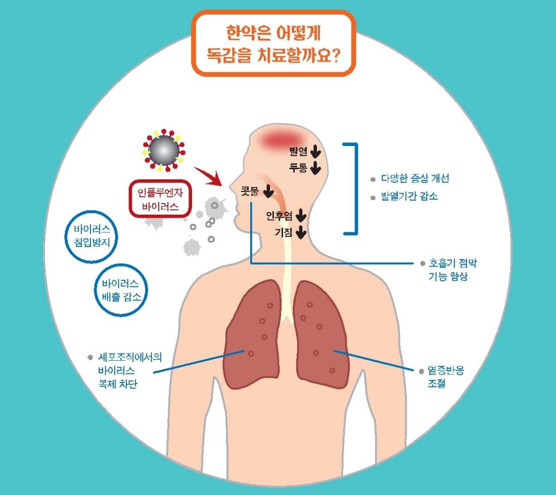 독감(인플루엔자)에 대한 이해와 대처법 4