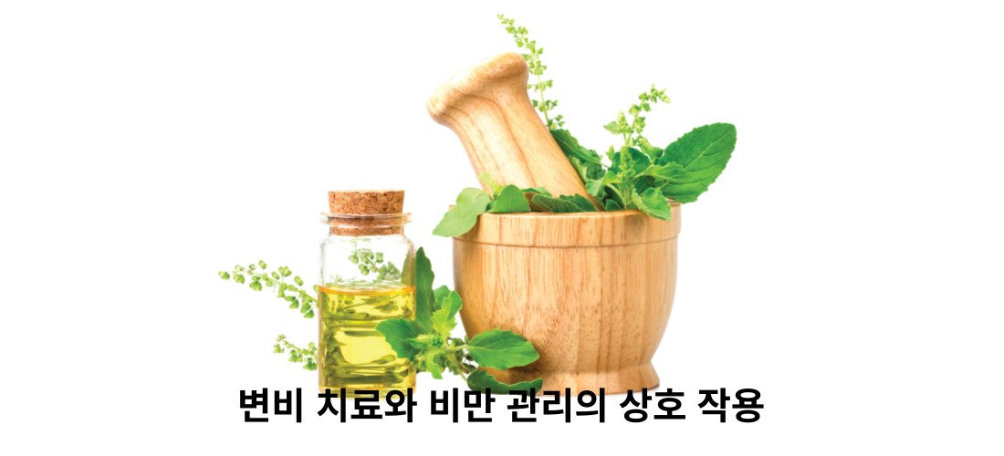 변비 치료가 비만 치료에 미치는 영향 2