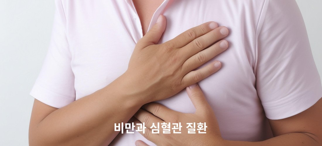 비만과 질병과의 관계에 대해서
