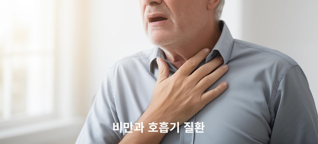 비만과 질병과의 관계에 대해서 3