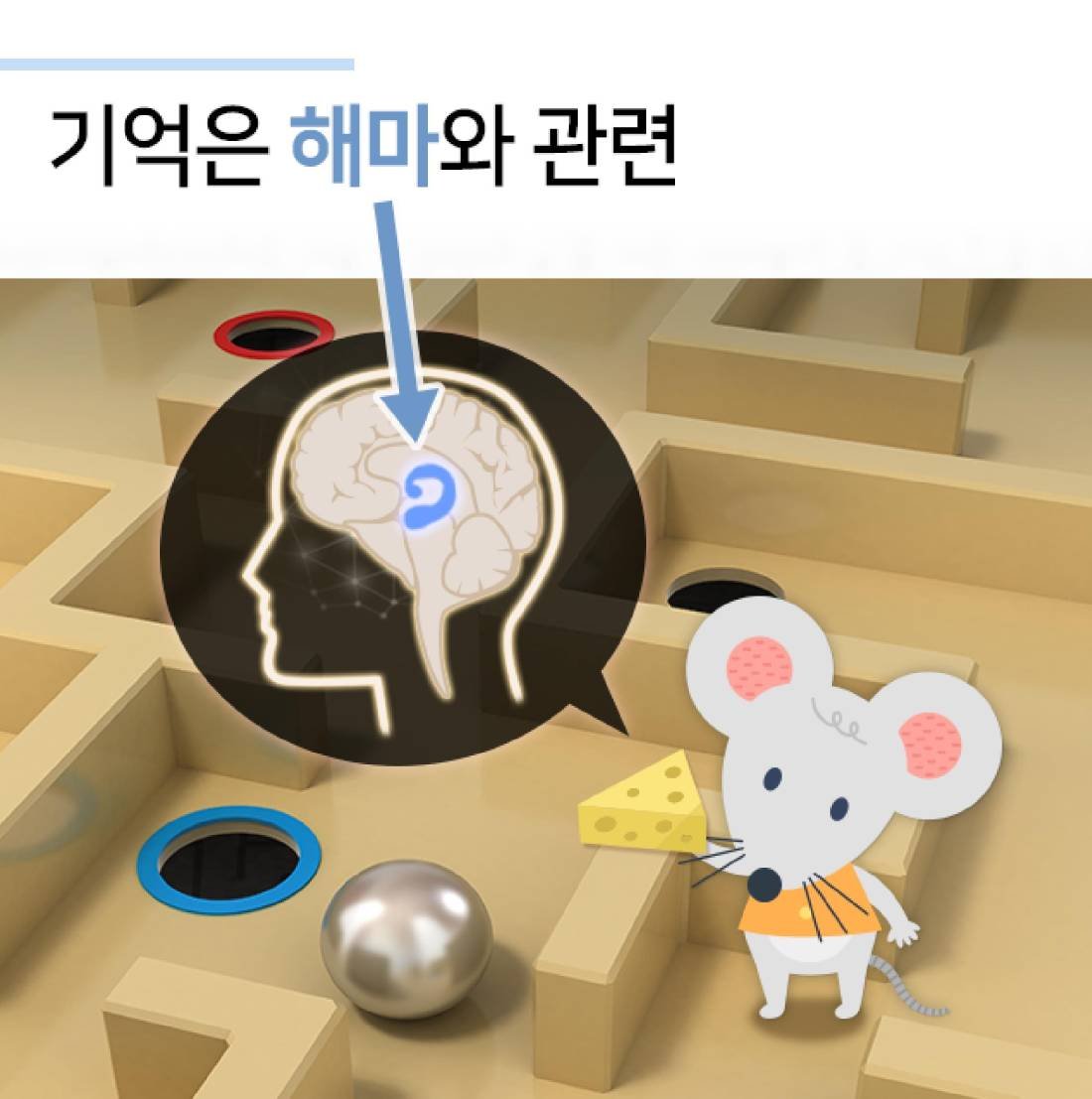 노인성 치매의 한약 치료