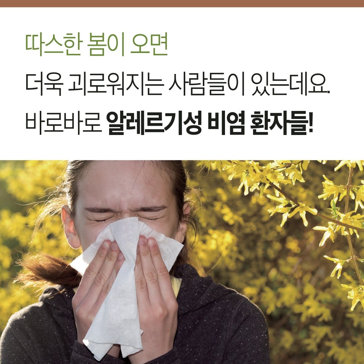 침 치료로 알레르기 비염 환자의 항히스타민제 사용을 감소 시킨다. 2