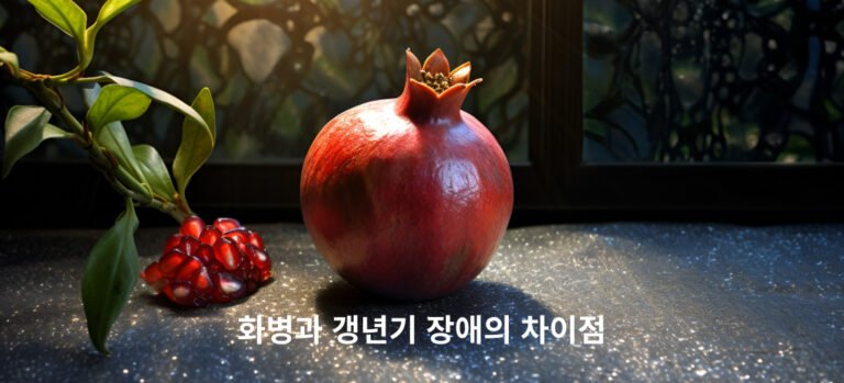 화병과 갱년기 장애의 차이점