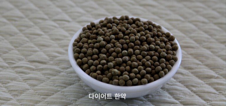 마황의 인체 영향과 한방 다이어트에서의 역할: 한의사의 관점