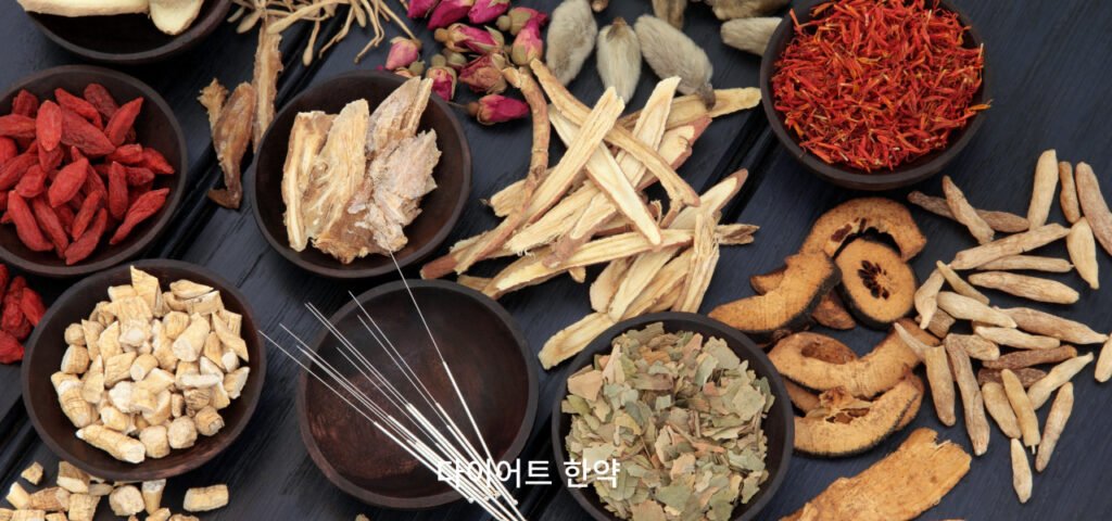마황의 인체 영향과 한방 다이어트에서의 역할: 한의사의 관점