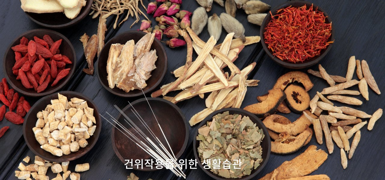 건위작용 4