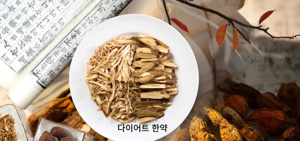 마황의 인체 영향과 한방 다이어트에서의 역할: 한의사의 관점 3