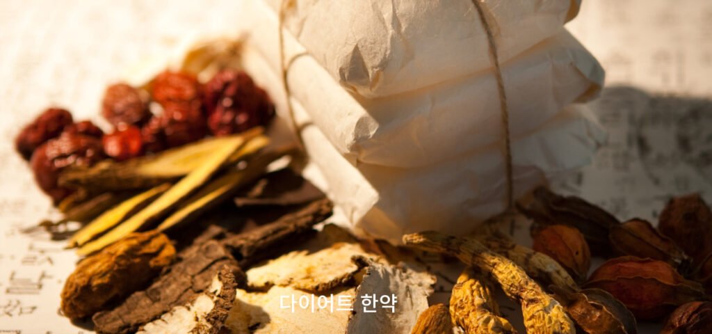 마황의 인체 영향과 한방 다이어트에서의 역할: 한의사의 관점 2