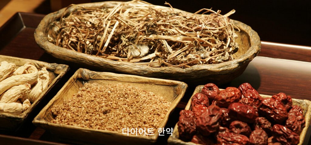 마황의 인체 영향과 한방 다이어트에서의 역할: 한의사의 관점 4